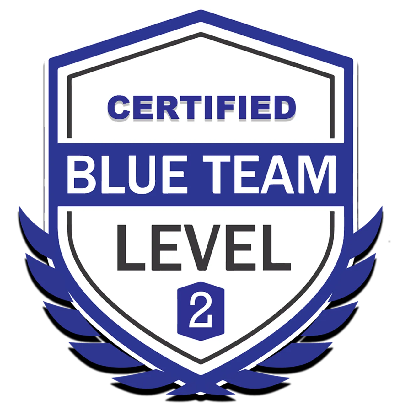 Blue Team Level 2